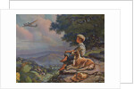 Illustration of Boy Watching Airplane by Anthony Cucchi