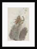 Illustration of Young Woman Blowing Bubbles by Anonymous