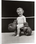 1930s Baby Seated On Stool In Boxing Ring Wearing Oversized Boxing Gloves Wearing Diaper by Anonymous