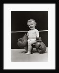 1930s Baby Seated On Stool In Boxing Ring Wearing Oversized Boxing Gloves Wearing Diaper by Anonymous