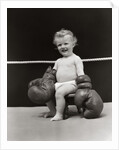 1930s Baby Seated On Stool In Boxing Ring Wearing Oversized Boxing Gloves Wearing Diaper by Anonymous