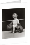 1930s Baby Seated On Stool In Boxing Ring Wearing Oversized Boxing Gloves Wearing Diaper by Anonymous