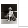 1930s Baby Seated On Stool In Boxing Ring Wearing Oversized Boxing Gloves Wearing Diaper by Anonymous