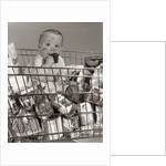 1960s Baby Sitting In Supermarket Cart Full Of Cans Eating Candy Bar With A Messy Face by Anonymous