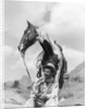 1930s Cowboy Sitting In Front Of Horse Holding Reins Spotted Paint Pinto by Anonymous
