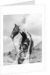1930s Cowboy Sitting In Front Of Horse Holding Reins Spotted Paint Pinto by Anonymous