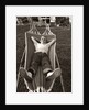 1950s Relaxed Boy Lying In Suburban Backyard Hammock by Anonymous