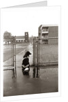 1970s Black White Spotted Dog Sitting In Rain Waiting By School Yard Gate For His Owner by Anonymous
