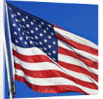 US Flag by Anonymous