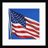 US Flag by Anonymous