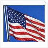 US Flag by Anonymous