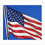 US Flag by Anonymous
