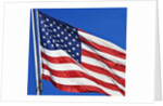 US Flag by Anonymous