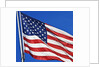 US Flag by Anonymous