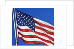 US Flag by Anonymous