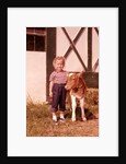 1950s 1960s Girl Rolled Up Denim Jeans With Guernsey Calf Outside Barn by Anonymous