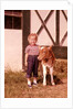 1950s 1960s Girl Rolled Up Denim Jeans With Guernsey Calf Outside Barn by Anonymous