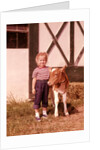 1950s 1960s Girl Rolled Up Denim Jeans With Guernsey Calf Outside Barn by Anonymous