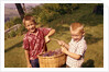 1960s Two Laughing Boys Carrying Basket Of Harvested Grapes by Anonymous