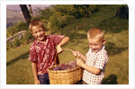 1960s Two Laughing Boys Carrying Basket Of Harvested Grapes by Anonymous