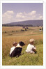1960s Back Of Two Boys With Black And White Dog Sitting Hillside Field Looking Down To Farm by Anonymous
