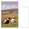 1960s Back Of Two Boys With Black And White Dog Sitting Hillside Field Looking Down To Farm by Anonymous