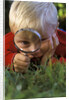 1980s Boy Using Magnifying Glass by Anonymous