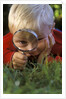 1980s Boy Using Magnifying Glass by Anonymous