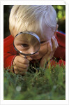 1980s Boy Using Magnifying Glass by Anonymous
