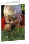 1980s Boy Using Magnifying Glass by Anonymous