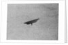 Flying Saucer by Anonymous