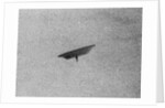 Flying Saucer by Anonymous