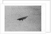 Flying Saucer by Anonymous