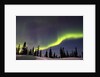 Aurora Borealis above Forest by Anonymous