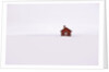 Red Wooden House Surrounded by Snow by Anonymous