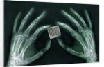 Skeletal Hands Holding Barcode by Anonymous