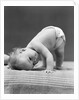 1940s Baby Bending Down With Head On Blanket by Anonymous