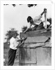 1930s Pair Of Boys Building Shack One Nailing Board To Side One On Roof With Saw by Anonymous