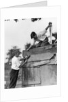 1930s Pair Of Boys Building Shack One Nailing Board To Side One On Roof With Saw by Anonymous