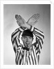 1950s Football Referee Making Hand Signal Time Out Blowing Whistle by Anonymous