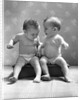 1930s 1940s Twin Babies Wearing Diapers Together Sitting On A Bench Side By Side Studio by Anonymous