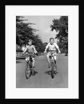 1930s 1940s Two Boys Riding Bikes On Tree Lined Street by Anonymous