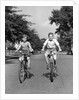 1930s 1940s Two Boys Riding Bikes On Tree Lined Street by Anonymous