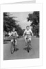 1930s 1940s Two Boys Riding Bikes On Tree Lined Street by Anonymous
