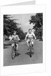 1930s 1940s Two Boys Riding Bikes On Tree Lined Street by Anonymous