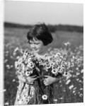 1920s Girl In Meadow Holding Bunch Of Daisies by Anonymous
