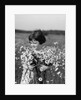 1920s Girl In Meadow Holding Bunch Of Daisies by Anonymous