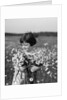 1920s Girl In Meadow Holding Bunch Of Daisies by Anonymous