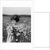 1920s Girl In Meadow Holding Bunch Of Daisies by Anonymous