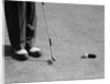 1950s Man Knees Down Putt On Golf Green by Anonymous